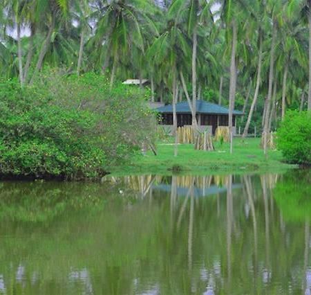 Aqua Front Yala Resort キリンダ エクステリア 写真