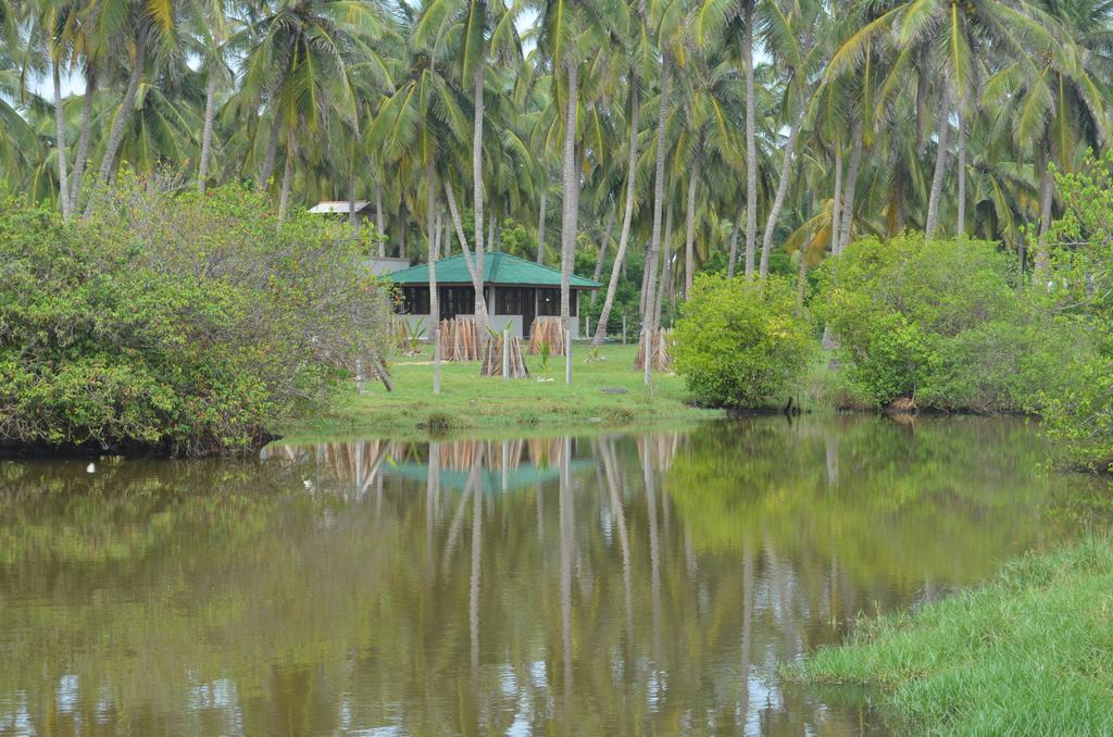 Aqua Front Yala Resort キリンダ エクステリア 写真