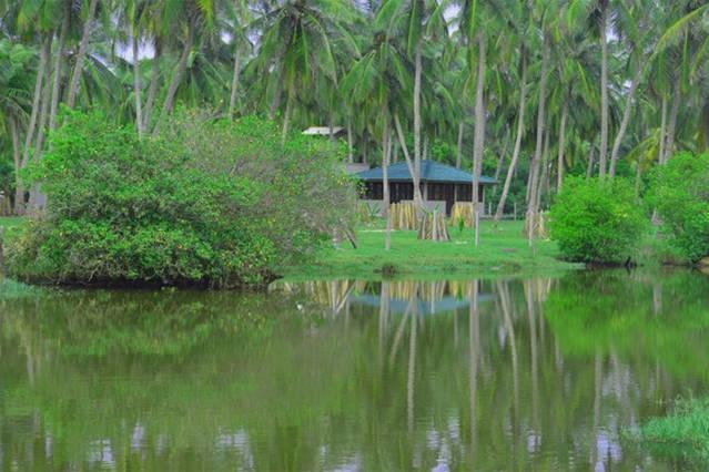 Aqua Front Yala Resort キリンダ エクステリア 写真
