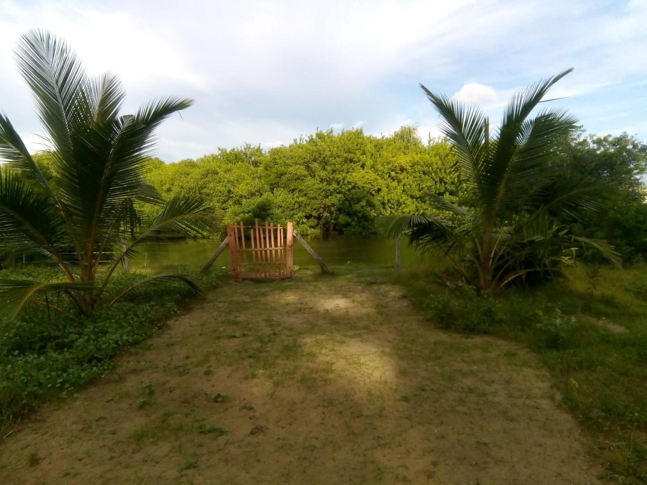 Aqua Front Yala Resort キリンダ エクステリア 写真